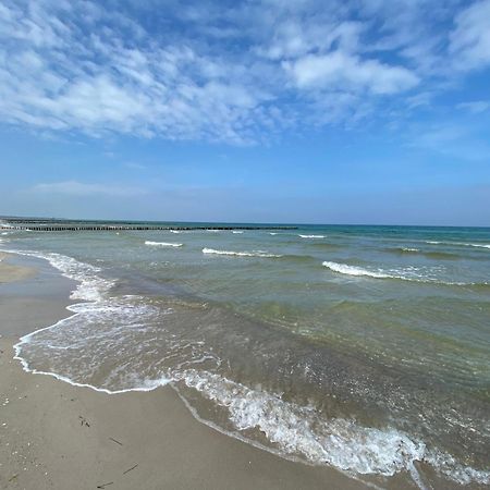 Meehrblick App 215 Lejlighed Zingst Eksteriør billede